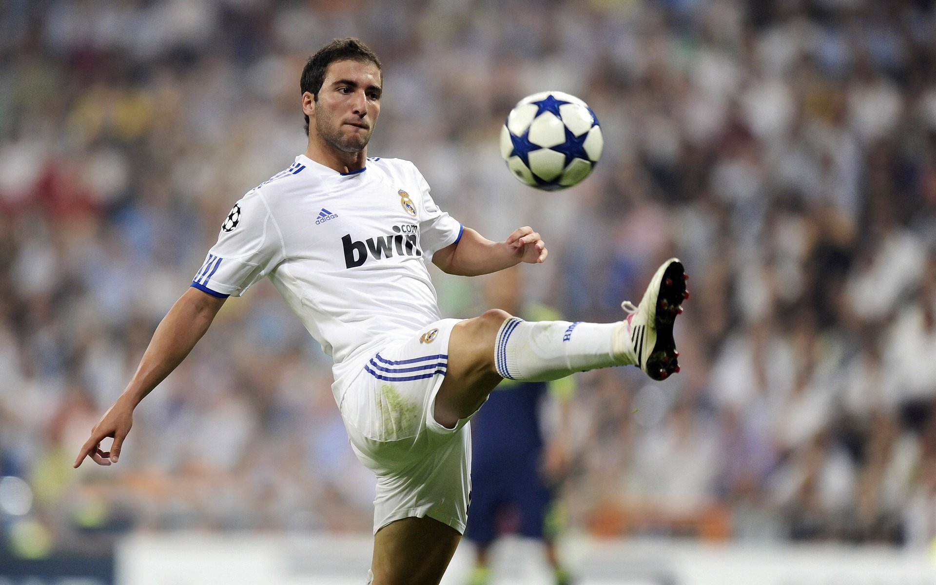 欧冠足球文化：跨越国界的欢聚盛典，欧冠足球干货